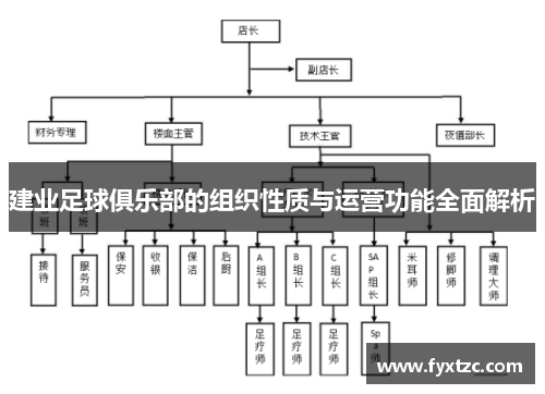 建业足球俱乐部的组织性质与运营功能全面解析