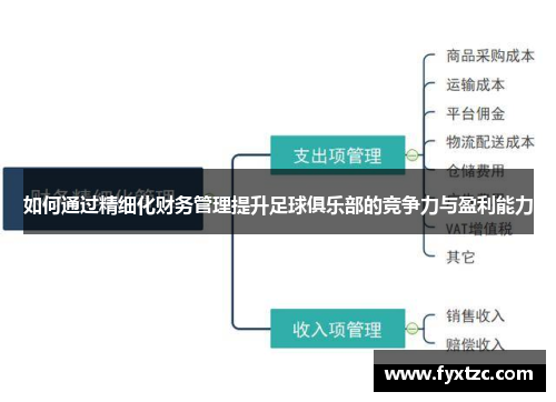 如何通过精细化财务管理提升足球俱乐部的竞争力与盈利能力