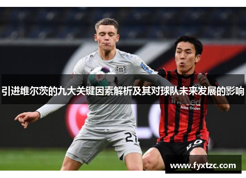 引进维尔茨的九大关键因素解析及其对球队未来发展的影响