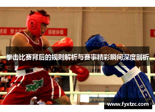 拳击比赛背后的规则解析与赛事精彩瞬间深度剖析